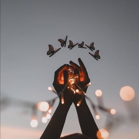 Meet the Posher Other - Meet your Posher, Paola